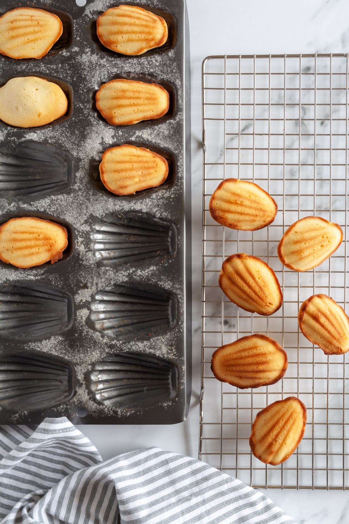 French Madeleines Recipe Delizzious Food Fotografie en Styling Amsterdam